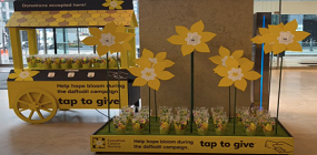 Daffodil campaign
