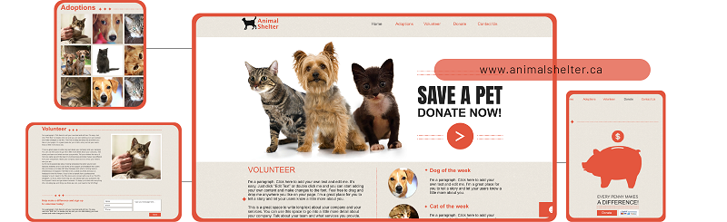 7 Inspirational Website Templates for Your Non-Profit Organization