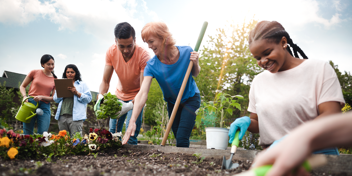 best wix templates for nonprofits