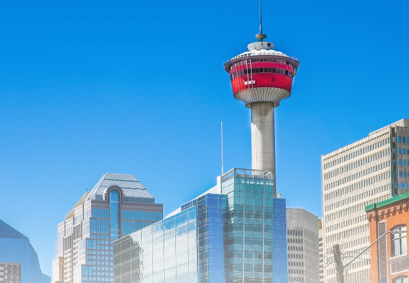 How to Use a POS System in Calgary