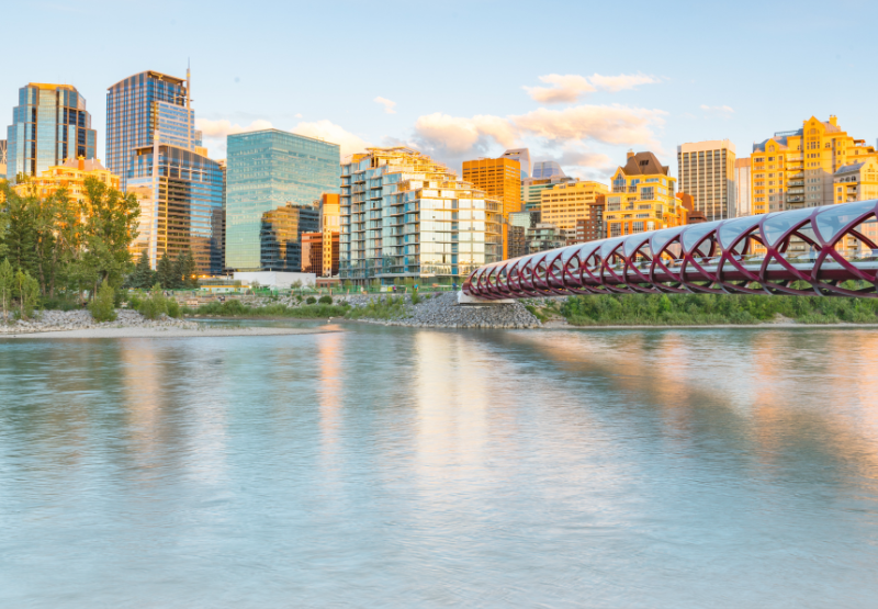 How to Use a POS System in Calgary