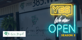 /Insights/Podcasts/YWAO S3/TI_32178114_YWAO_S3/YWAO_S3_Matriarch_Insights Blog-min