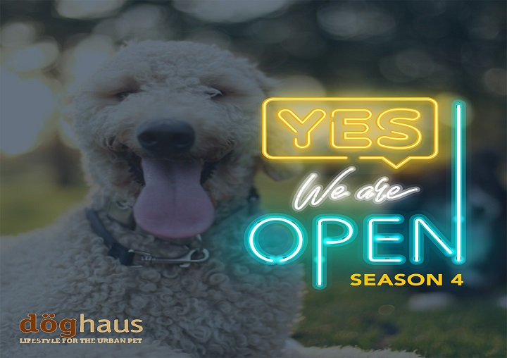 S4-E5-Doghaus