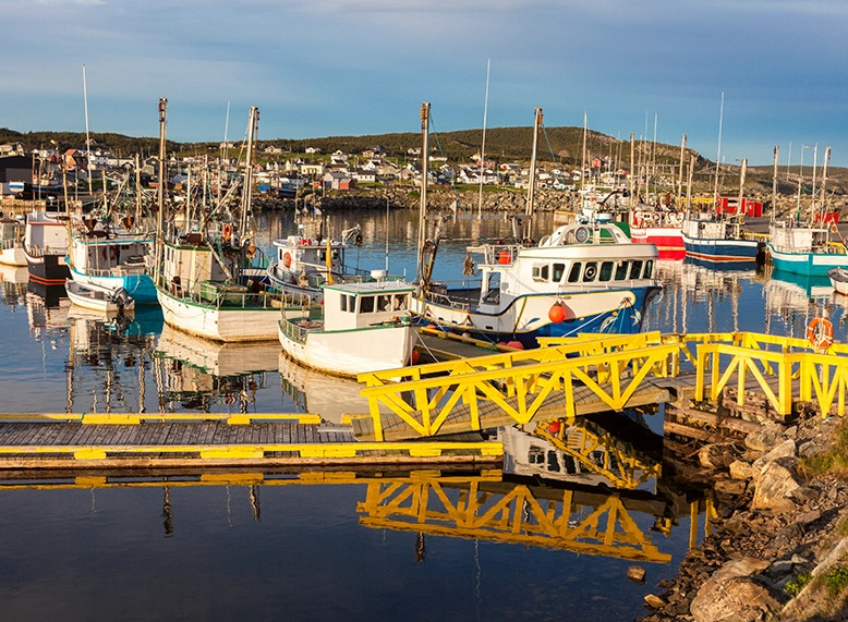 Newfoundland and Labrador boat harbor 