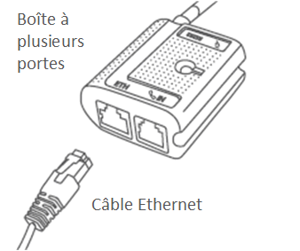 cable ethernet et la boite à plusieurs portes